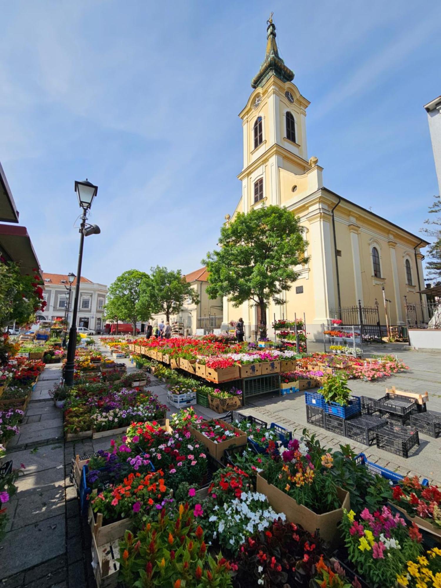 Daire Zemun Center Lux 3 Bedroom